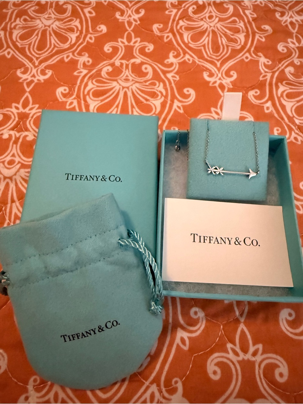 Authentic Tiffany & Co. Paloma Picasso Sterling Silver Graffiti Arrow Necklace